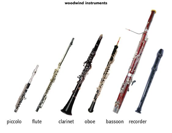 Western concert flute