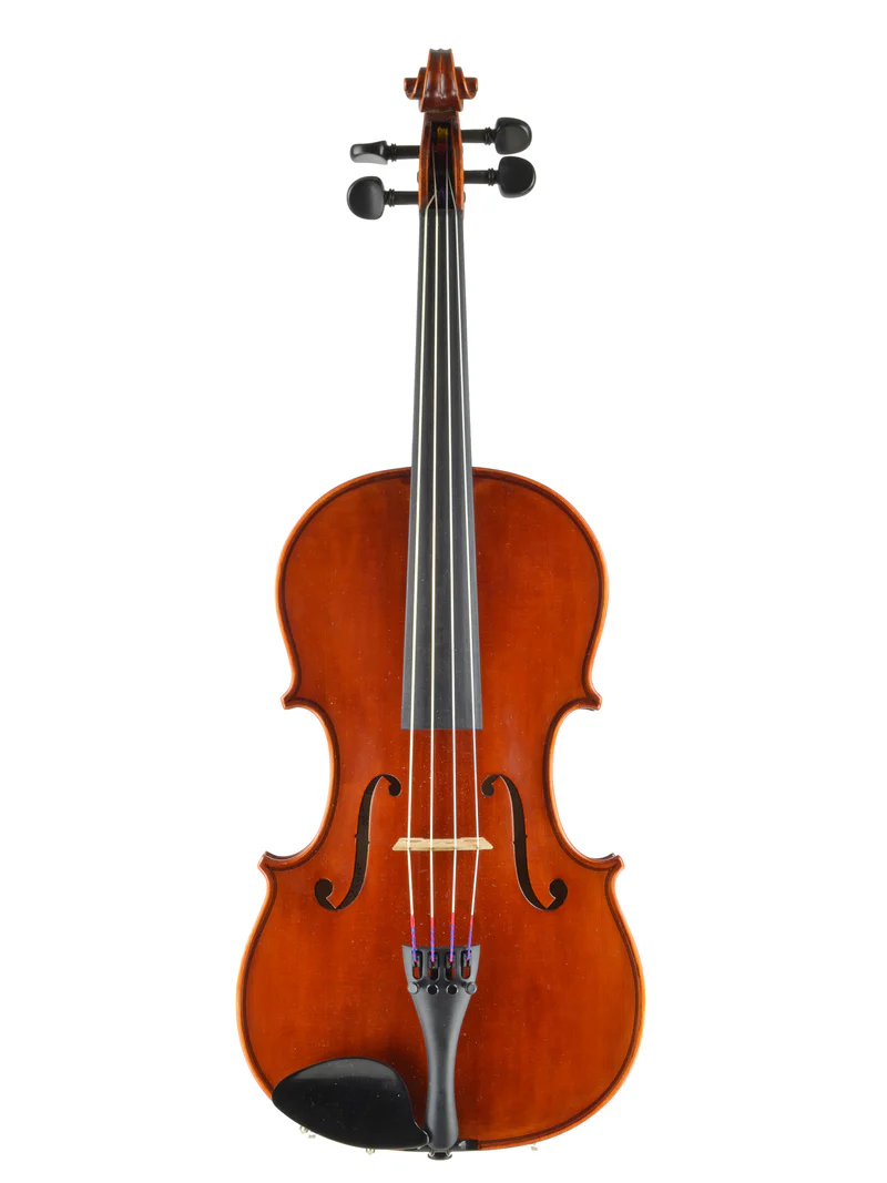 Viola