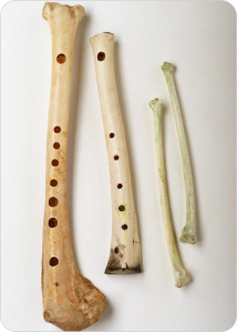 ancient flutes made out of animal bones