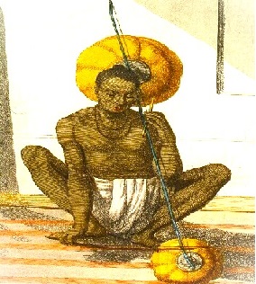 Pinaka vina